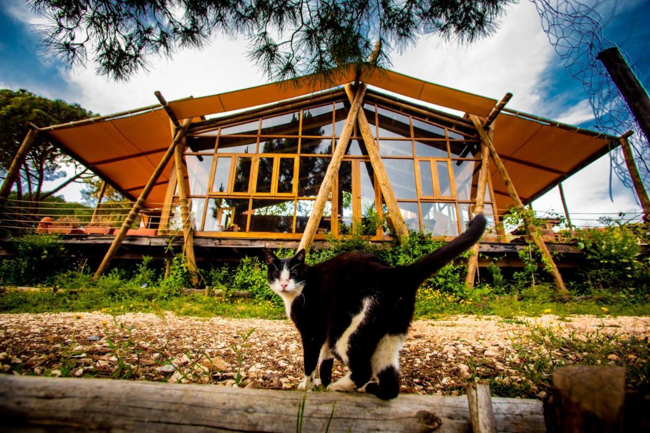 Quinta Alma - Ecological Retreat Farm Aljezur Exterior foto